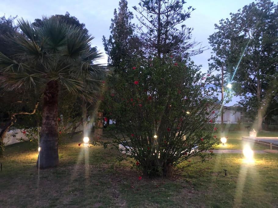Villa Anastasia! In Strofylia Pine Forest!!! Manolas ภายนอก รูปภาพ