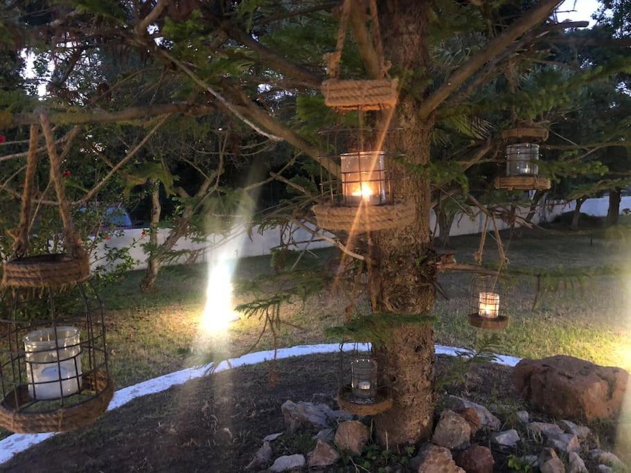 Villa Anastasia! In Strofylia Pine Forest!!! Manolas ภายนอก รูปภาพ