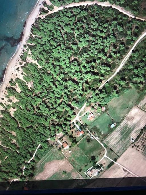 Villa Anastasia! In Strofylia Pine Forest!!! Manolas ภายนอก รูปภาพ