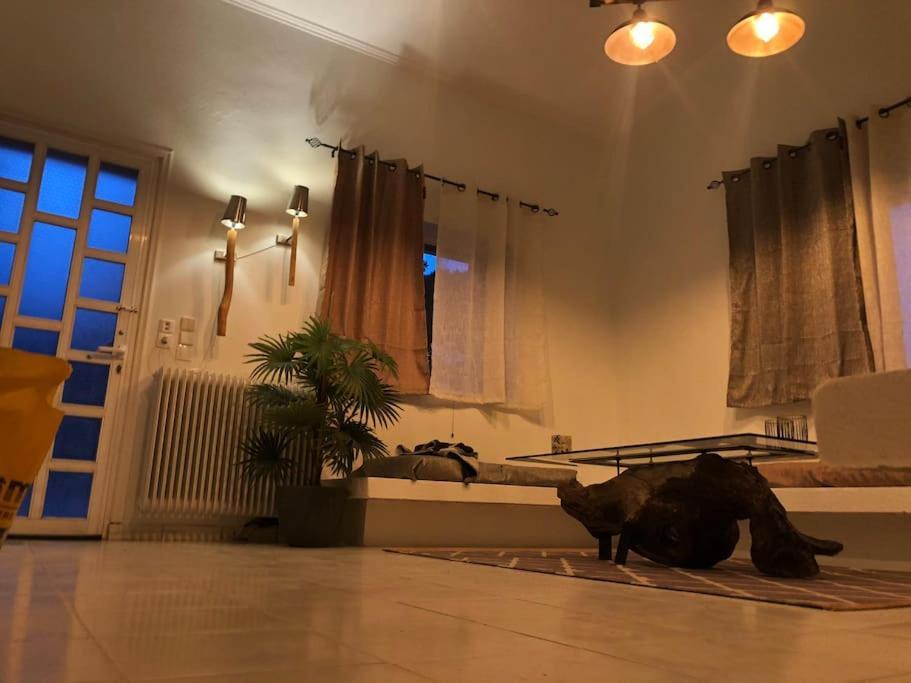 Villa Anastasia! In Strofylia Pine Forest!!! Manolas ภายนอก รูปภาพ