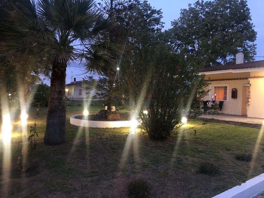 Villa Anastasia! In Strofylia Pine Forest!!! Manolas ภายนอก รูปภาพ