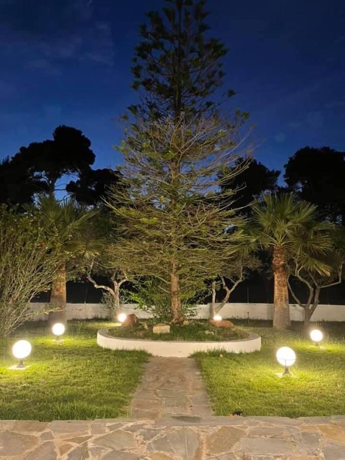 Villa Anastasia! In Strofylia Pine Forest!!! Manolas ภายนอก รูปภาพ